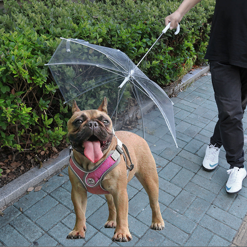 Pet supplies popular pet umbrellas, teddy small dog walking dog umbrellas with leash